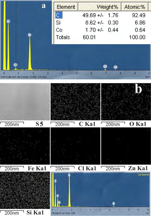 Figure 4: EDS images of grown CNT on; a) metal (Co) catalyst b) FeCl3.6H2O/ZnO catalyst.