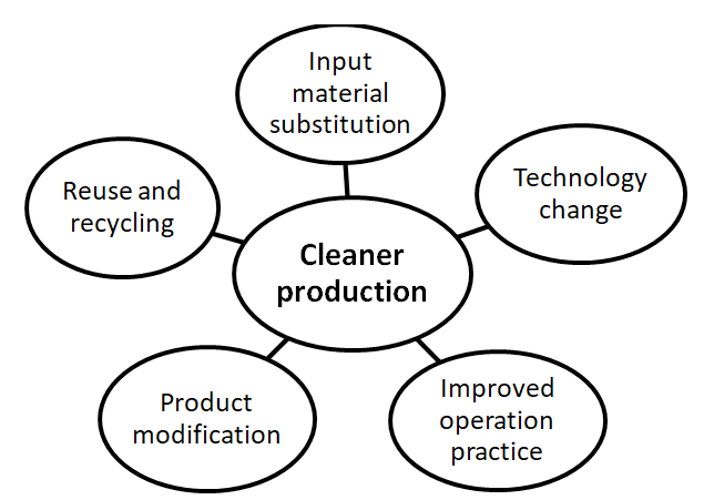 Figure 1: Cleaner production practices/options.