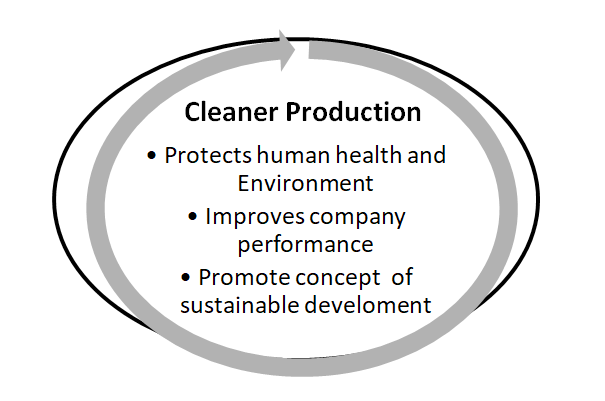 Figure 2: Outcomes of cleaner production.