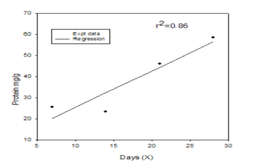Figure 2: Representing the regression between days of exposure and muscle protein of treated fish.