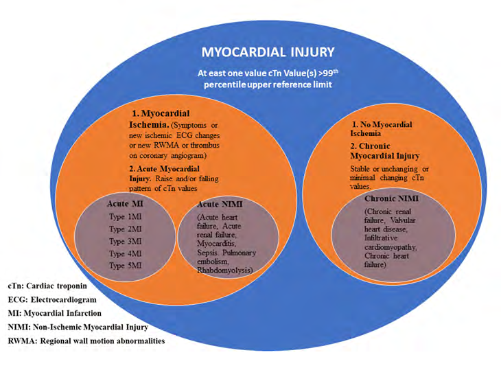 Figure 1: Myocardial Injury Classification.