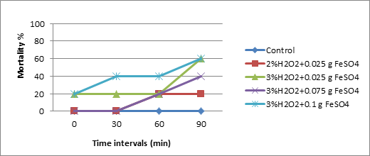 Figure 1: Mortality percentage of Biomphalaria alexandrina snails treated with the effective Fenton concentrations at different time intervals.