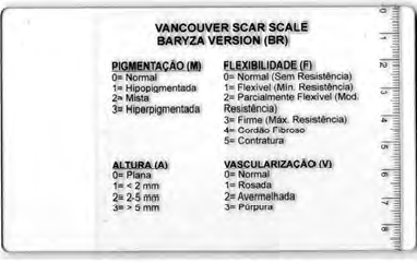 Figure 2: Acrylic model used for scars evaluation similar to Baryza’s [9].