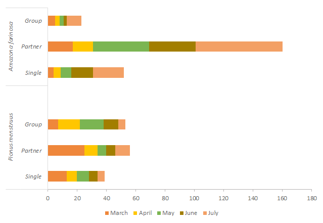 Figure 5: Proportion of individuals with different social organization observed during the sampling months for the two species under study.