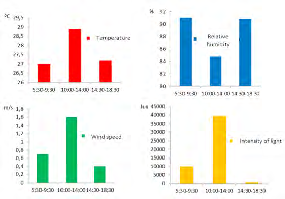 Figure 7: Average climatic conditions measured in three time ranges during the day for the 24 samplings made.