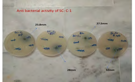 Figure 12