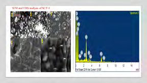 Figure 3: characterization results of SC-C-1 SEM,PSA,FTIR and UV spectroscopy.
