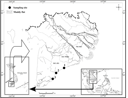 Figure 1: The sampling map along the coastline in the Mekong Delta.