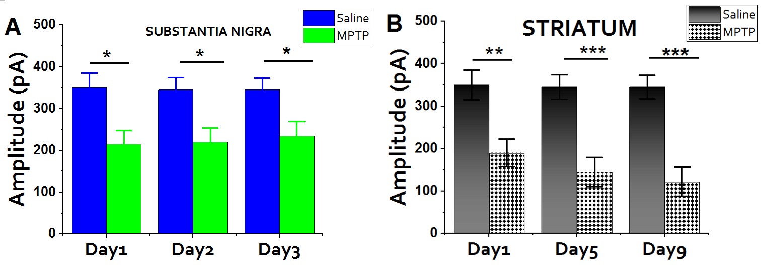 Figure 4: Time Course of MPTP: Having adopted the sub-acute (acute) system of administering MPTP, we deemed it is important to evaluate the level of damage in both the SNc and Striatum. Figure 4a: SNc: In the SNc, The level of DA release is slightly different. Figure 4b: Striatum: The profound damage was much more intense in the Striatum and also there is a gradual increment in the level of damage. We intentionally isolated some mice to test the see what will happen upon exceeding the day 5. Amazingly, the effects produce from day 6 through day 9 is the same. This confirmed that 25-30mg/kg of MPTP requires only 5 consecutive days to reproduce the desirable dopaminergic lesions.