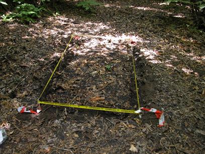 Figure 3: plot 2 m2