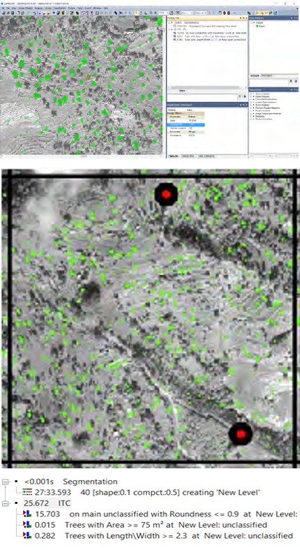 Figure 3: Process of Remote Sensing data analysis. (A. Image segmentation, B. Sample plot allocation map for tree delineation, C. Compartment division map for tree delineation and D. Rules for tree delineation).