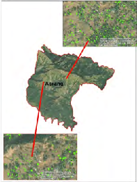 Figure 6: CPA mapped using WorldView PAN data and OBIA.
