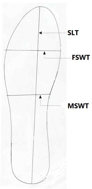 Figure 4: Measurement of left shoe dimension. SLT: Shoe length trace. FSWT: Fore shoe width trace. MSWT: Mid shoe width trace.