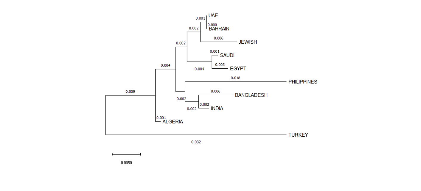 Figure 2: Phylogenetic tree using based on Nei’s DA Distances for the 12 X-STR loci estimated among 10 populations.