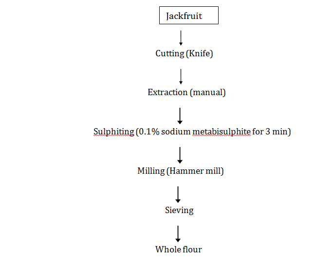 Figure 1: Production of jackfruit pulp flour Source: [12].