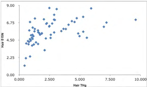 Figure 2: δ15N versus THg of hair in free-ranging red foxes from western Alaska. THg concentrations are reported in ppm (mg/ kg) and δ15N values are reported in per mil. R2 = 0.42. Mean (std dev) of hair 5.57 (1.48), and THg 2.58 (1.96). Stable isotope values for hair correlate with THg levels in hair.