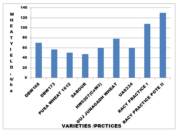 Figure 1: Wheat varieties/Practices versus yield, q/ha. (Contrasting data source: Annual Report ICAR-IIWBR, Karnal, 2017-2018)