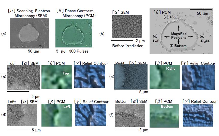 Figure 1: Comparison of SEM and PCM images of ablation crater formed with 6-µJ laser output for 300 pulses. (a) Complete image of ablation crater. (b) SEM showing TiO2 coating before laser irradiation and PCM indicating four positions for magnification. In the magnified images of the (c) top, (d) left, (e) right, and (f) bottom, the micro- modulations are compared with [α] SEM and [β] PCM. [γ] Relief contour map constructed from PCM image.