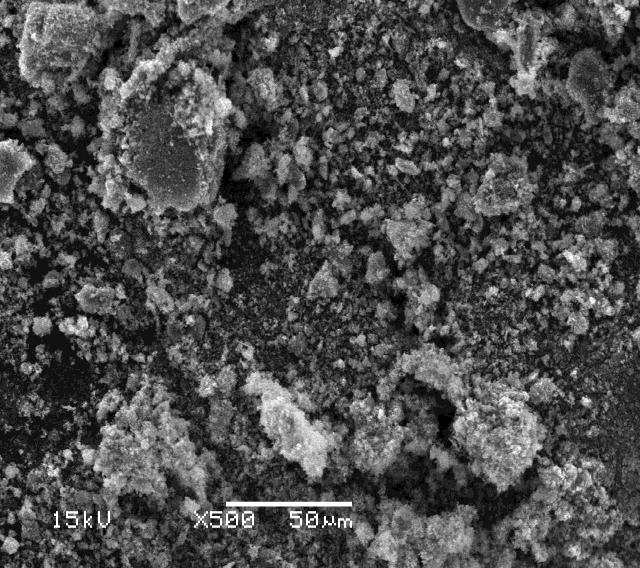 Figure 1: Field emission scanning electron microscopy image of zinc oxalate prepared using the sol-gel method.