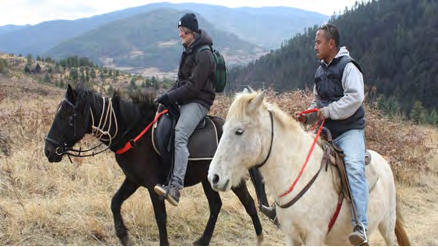Figure 2: Tanghan pony, By Eric, P.