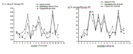 Figure 3: Content of nitrogen values in % (left) and phosphorous values in% (right) before, immediately after and after the floods, Source: Author’s calculation based on the survey data.
