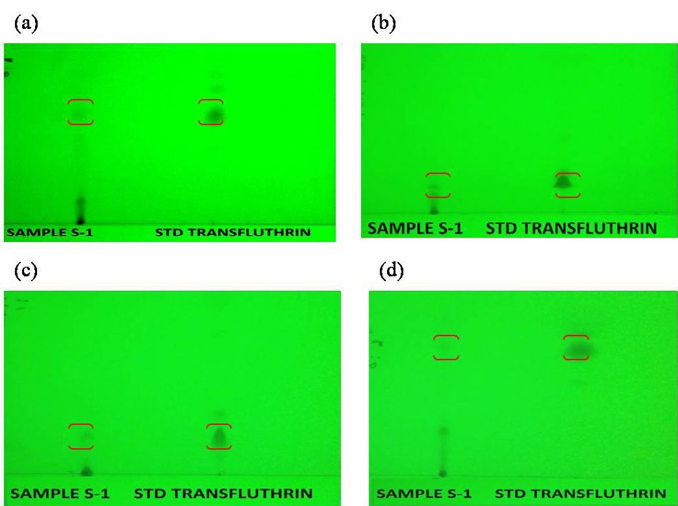Figure 1: Molecular Structure of Transfluthrin.