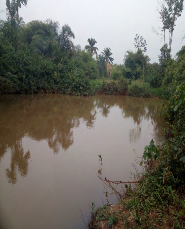 Figure 7: Showing river siltation immediately after sand extraction. _Source: Fieldwork, 2020_