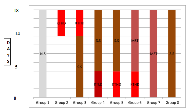Figure 1: Histogram representing drug administration. NS; Normal Saline, KTHD; Ketoconazole high dose, SS; Sesamum Seeds, KTLD; Ketoconazole low dose group, MST; Mesterolone.