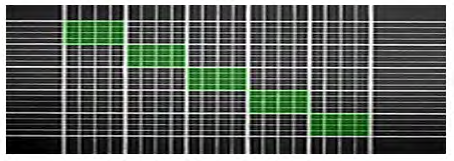 Figure 2: Low Magnification View of the haemocytometer grid system.