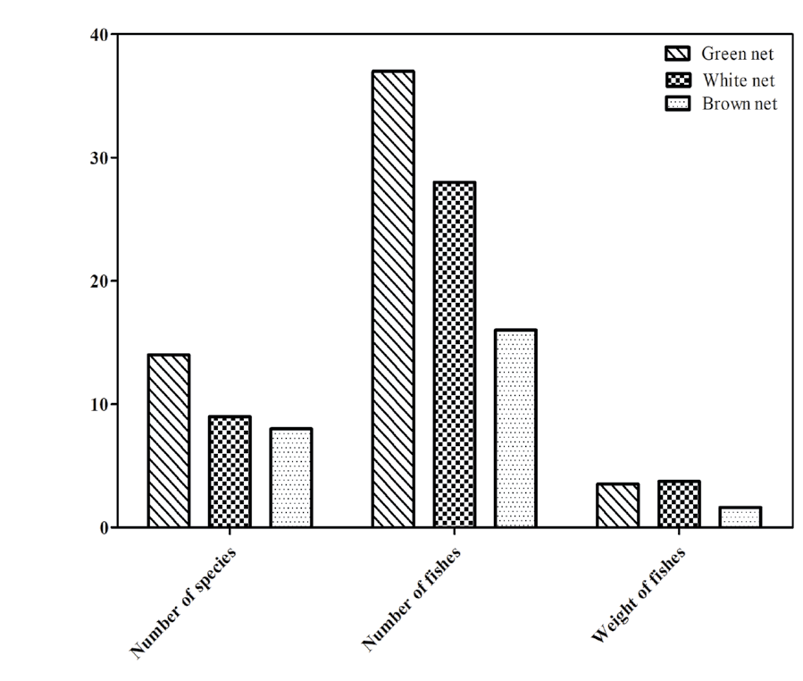 Figure 3: Graph showing difference in weight length and number of species caught by each net.