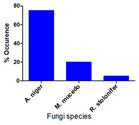 Figure 2: Percentage occurrence of fungi isolated from the intestine of fish fed _A. barbadensis_ leaves.