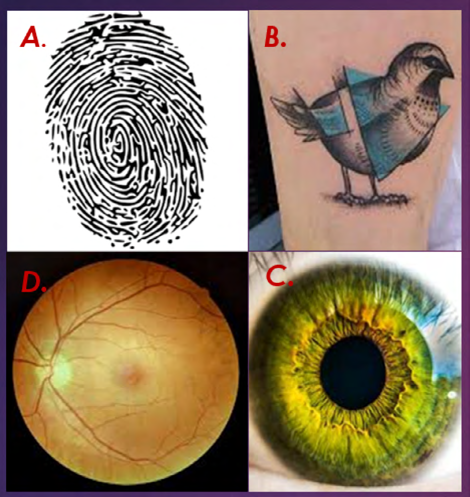 Figure 1: Biometric biological features. A. Fingerprint; B. Tattoo; C. Retina; D. Iris.