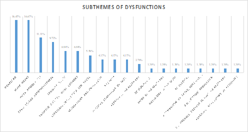 Figure 3: Subthemes of dysfunctions according to SEAM approach.
