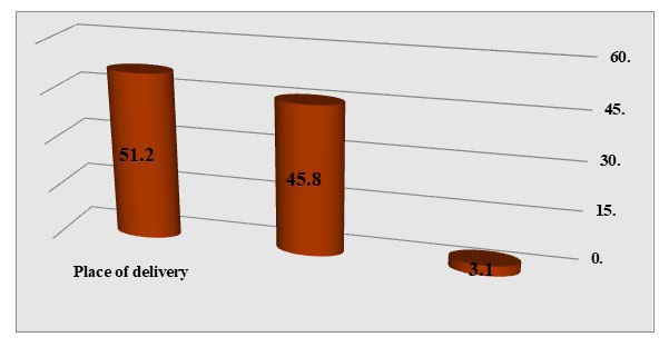 Figure 12: Distribution of samples according to place of delivery.