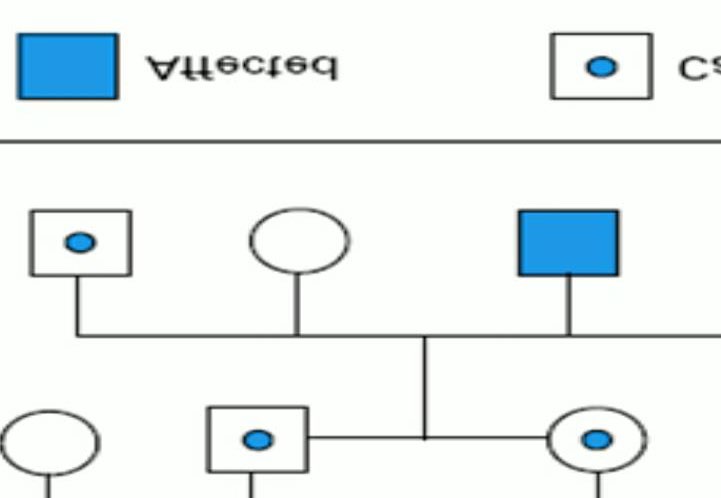 Figure 4: Pedigree Analysis.