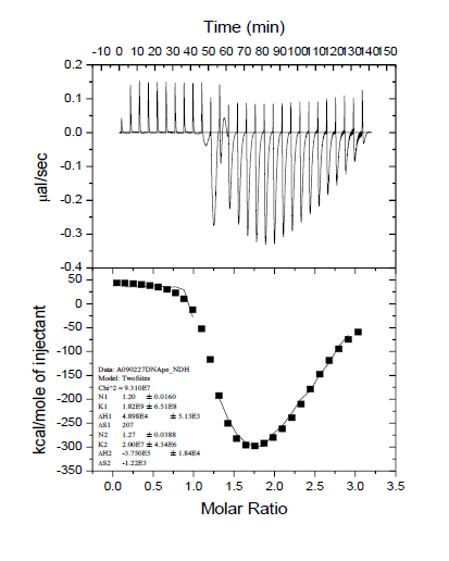 Figure 7: (a): X-gal filter assay for the interactions between PELF1 residual, deletion andmutant peptides with mP62 in yeast Y187. Lanes: Pos - positive control (Y187 containing pGBKT7-53 hybrid with AH109 containing pGAD-424-T); Neg - negative control (Yeast Y187); ∆C1~4 - obtained by deletion of 20, 35, 46 and 67 residues at the C-terminus respectively; ∆N4~6 - obtained by deletion of 30, 39 and 49 residues at the N-terminus respectively; ∆M2~3 - deletions of 40-44, and 41-42 peptides; mA1~2 and mC3~4 - PELF1 with mutations at Asp41Ala, Ala42Val, Cys49Ala and Cys52Ala, respectively; mP62 -P14-3-3 with mutations at Ser62Ala. (b): Detection of PELF1 deletion peptide and mutant peptide interacting with mP62 by X-gal filter paper colourimetric assay. Upper row: Neg- negative control; pGBK -Y187-tagged mP62, PELF1, ∆M2~3, mA1~2 Lower row: Pos- positive control, pGBK- mP62/pGAD-Y187-tagged PELF1, ∆M2~3, mA1~2; mP62 -P14-3-3 with mutations at Ser62Ala; ∆M2~3 - deletions of 40-44 and 41-42 peptides, respectively; mA1~2 - PELF1 with mutations at Asp41Ala and Ala42Val, respectively.