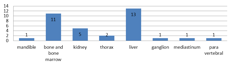 Figure 6: Treatment Response.