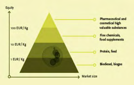Figure 11: Multiple-Uses of Microalgae [36].