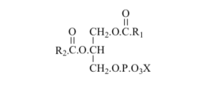 Figure 14: Sulpholipid structure_._