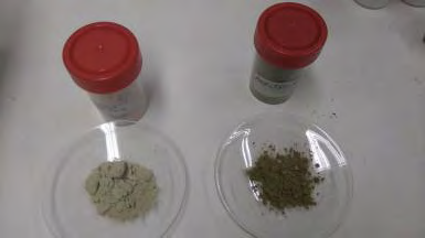 Figure 19: The stages of Microalgae Lipids extraction.