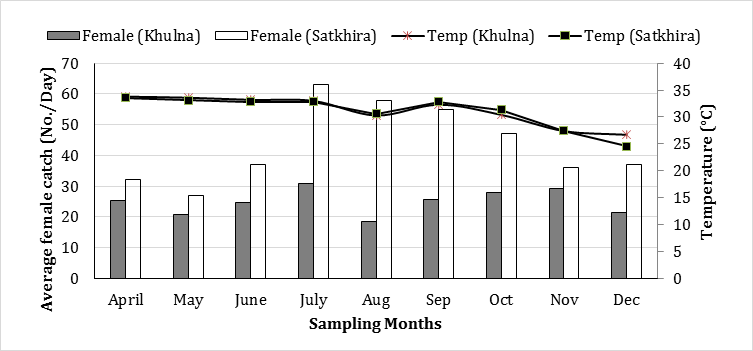 Figure 10: The abundance of hijra crab regarding water temperature and salinity during the sampling period from Symnagor, Satkhira.