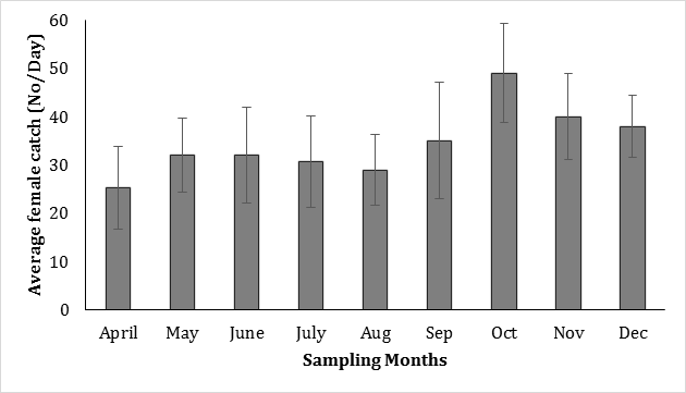 Figure 6: The sex composition of mud crabs collected during sampling time from two coastal sub-districts of southwestern Bangladesh, Koyra of Khulna and Symnagor of Satkhira district.