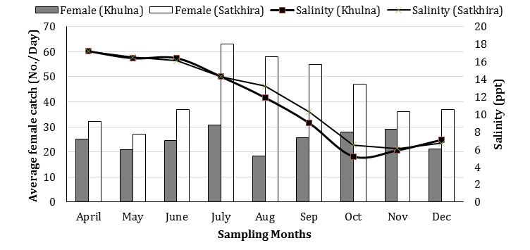Figure 9: The abundance (%) of hijra crab (considered as newly recruitment of female crab) regarding water temperature and salinity during the sampling period from Koyra, Khulna.