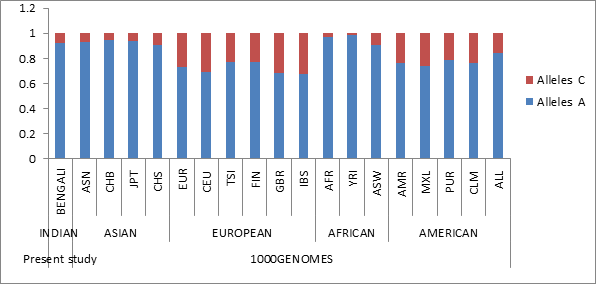 Figure 2: It is evident that the minor allele frequency is quite low in African population (YRI) where the ‘C’ allele shows a low frequency of 0.011, which is yielding a very low heterozygosity. The ancestral allele (A) frequency is quite high in all populations except in the European population and the lowest frequency among IBS population (0.679). Although European and American populations show quit higher frequency of minor allele, the two Mongoloid Asian populations CHB and JPT show similar profile, whereas the present study Indian Bengali population shows profile similar to the all Asian (ASN) and CHS populations.