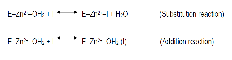 Figure 4: Structural elements of CA inhibitors in the CA enzymatic active site [8]. It was determined that is the nature of the R group that greatly influences the binding to the enzyme. Thus, the nature of the R moiety is the determining factor in controlling the inhibitory power, probably due to flexibility of the linker and the possibility of the R group to orientate in different sub-pockets of the active site cavity of these enzymes. It may be observed that the elongation of the inhibitor molecule, by means of a sulfanilyl moiety, such as in compounds 1, 2, and 3 leads to a roughly 10 times increase of the inhibitory power of the corresponding sulfonamide against mtCA 2, which may be an important hint for drug design purposes [18,19].