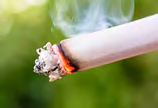 Figure 3: Cigarette smoke.