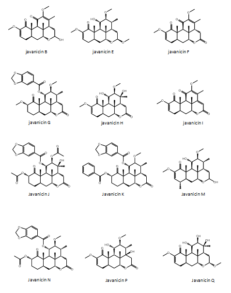 Figure 1: Structures of the twelve javanicins screened in molecular docking studies.