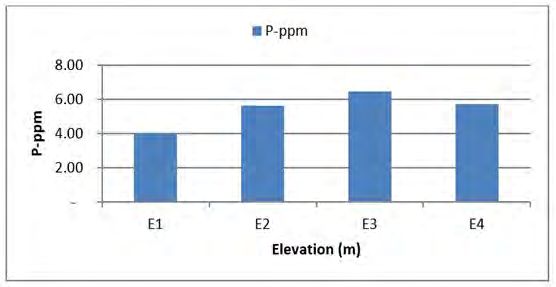 Figure 6: Available phosphorus.