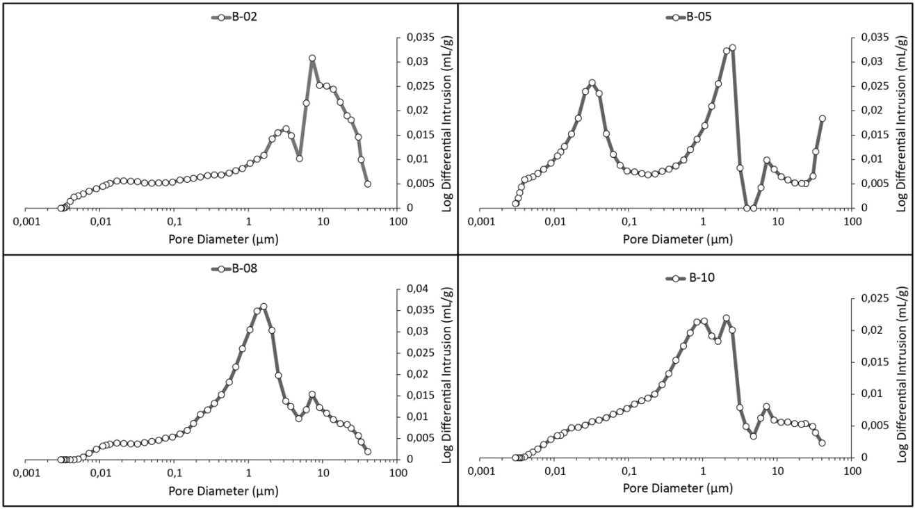 Figure 12: Cross-plot of pore diameter (μm) versus log differential intrusion (mL/g) for the 4most representative samples of the Castelvetere Formation. The analyzed samples show the presence of both plurimodal and unimodal curves with the principal and secondary peaks located both on the nanopores and micro+mesopores dimensional classes.