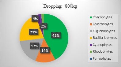 Figure 3: ** Comparison of phytoplankton density in ponds as a function of droppings dose.